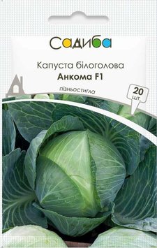 Семена Капусты Капуста білоголова Анкома F1 20шт Виробник: Rijk Zwaan, Нідерланди 2047832628 фото