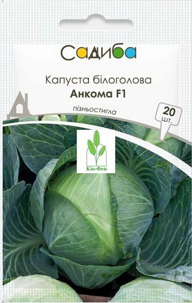 Семена Капусты Капуста білоголова Анкома F1 20шт Виробник: Rijk Zwaan, Нідерланди 2047832628 фото