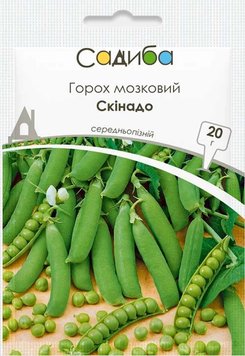 Насіння Горох мозковий Скінадо 20г , Виробник: Syngenta, Нідерланди 2043309546 фото