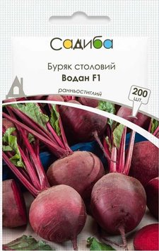 Насіння Буряк столовий Водан, 200шт F1 Виробник: Bejo, Нідерланди 2043033213 фото