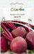 Насіння Буряк столовий Зепо, 200шт F1 Виробник: Rijk Zwaan, Нідерланди 2043035841 фото 1