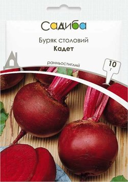 Насіння Буряк столовий Кадет, 10г Виробник: Satimex, Німеччина 2043040762 фото