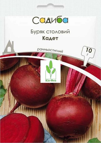 Насіння Буряк столовий Кадет, 10г Виробник: Satimex, Німеччина 2043040762 фото