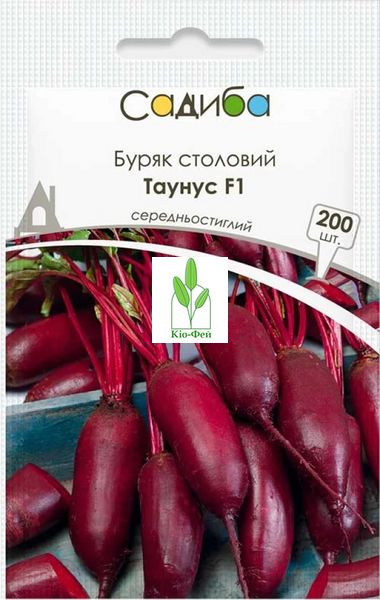 Насіння Буряк столовий Пабло F1, 200шт Виробник: Bejo, Нідерланди 2043044326 фото