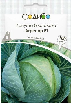 Семена Капусты Капуста білоголова Агресор F1 100шт Виробник: Syngenta, Нідерланди 2047807249 фото