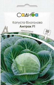 Семена Капусты Капуста білоголова Амтрак F1 20шт Виробник: Bejo, Нідерланди 2047832216 фото