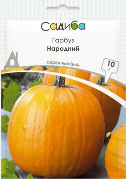 Насіння Гарбуз Народний 10г, Виробник: Україна 2043114039 фото