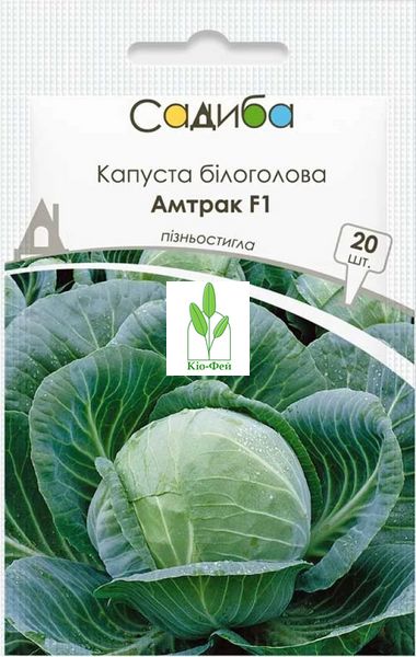 Семена Капусты Капуста білоголова Амтрак F1 20шт Виробник: Bejo, Нідерланди 2047832216 фото