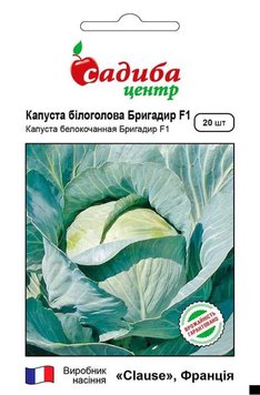 Семена Капусты Капуста білоголова Бірюза 500г Виробник: Satimex, Німеччина 2047880216 фото