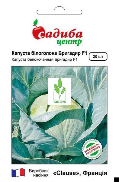 Семена Капусты Капуста білоголова Бірюза 500г Виробник: Satimex, Німеччина 2047880216 фото